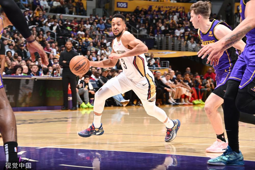 韦加个体 韦加个体