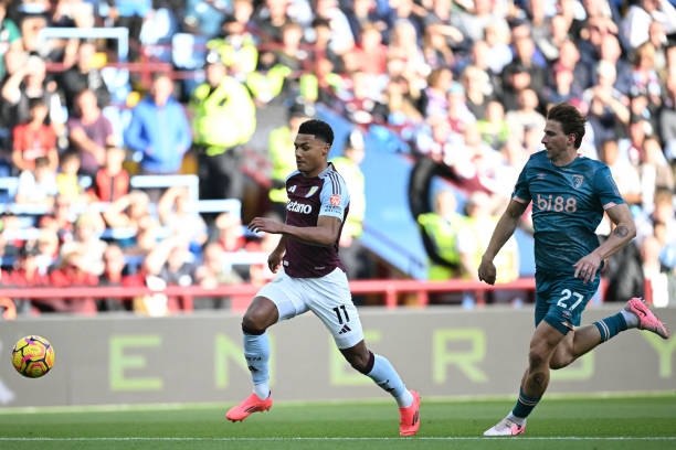 仅引来了无 仅引来了无