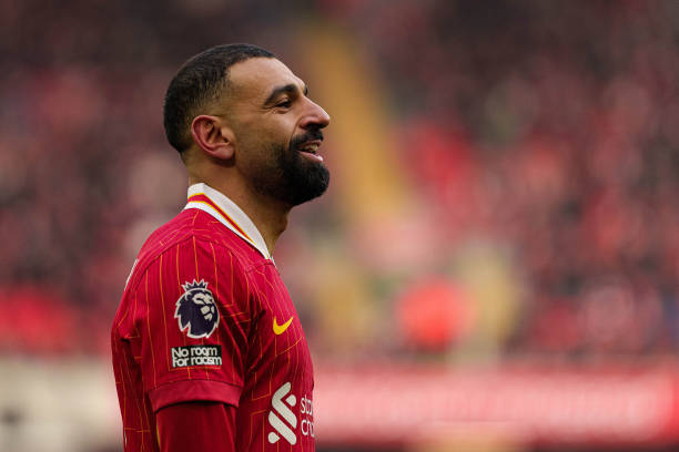 的视野不仅 的视野不仅